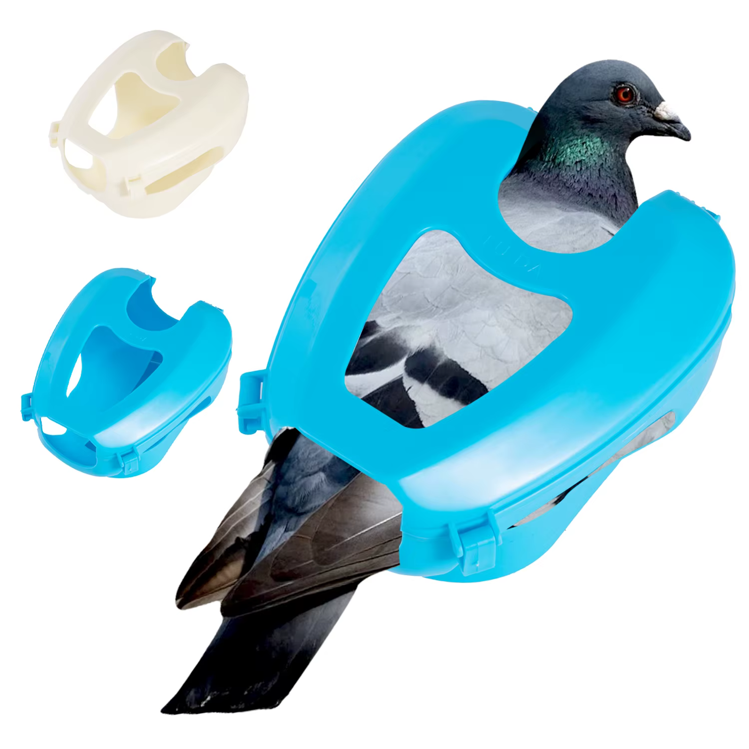 Soporte de contención para aves en color azul