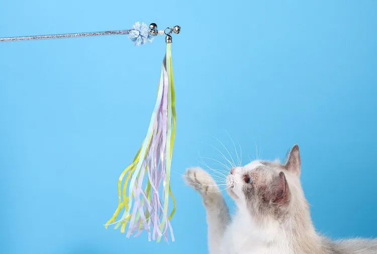 Gato jugando con el juguete