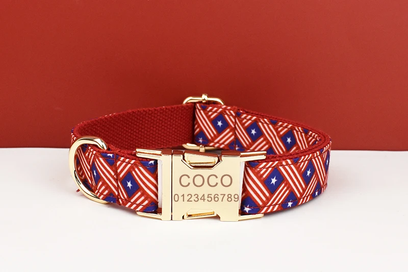Conjunto completo de accesorios para perro
