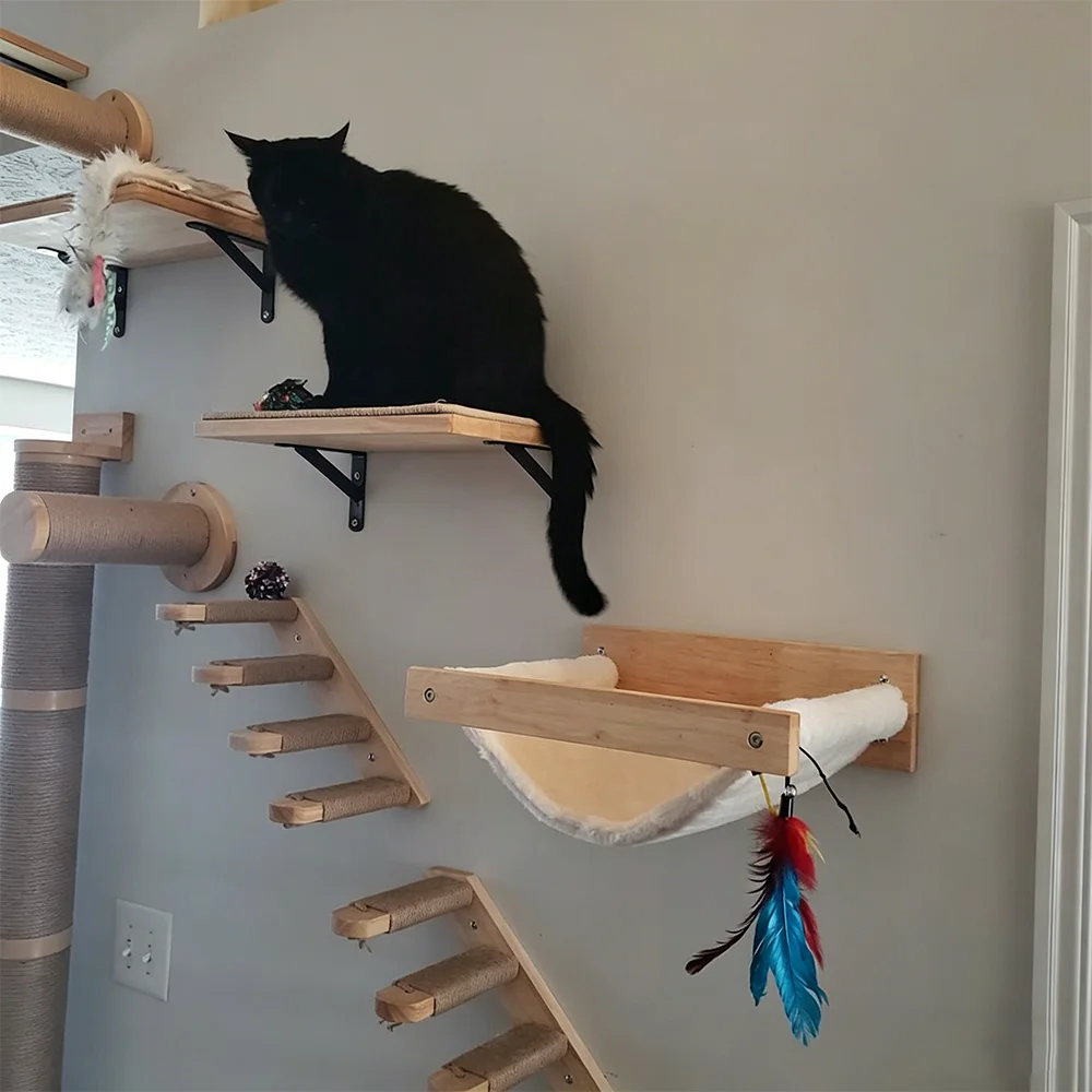 Gato descansando en estante de pared