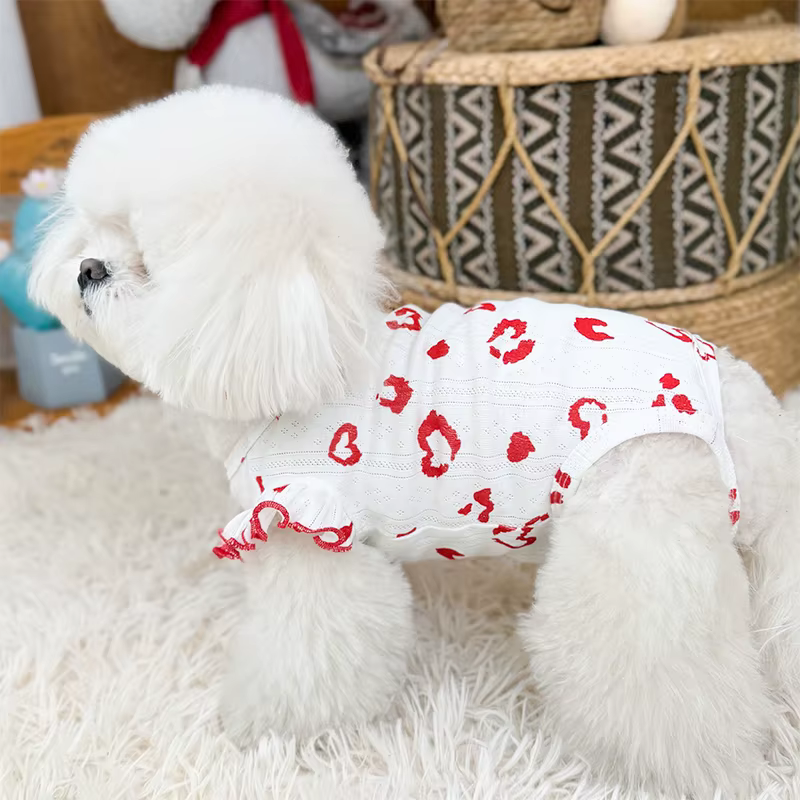 Sudadera de algodón con estampado para mascota