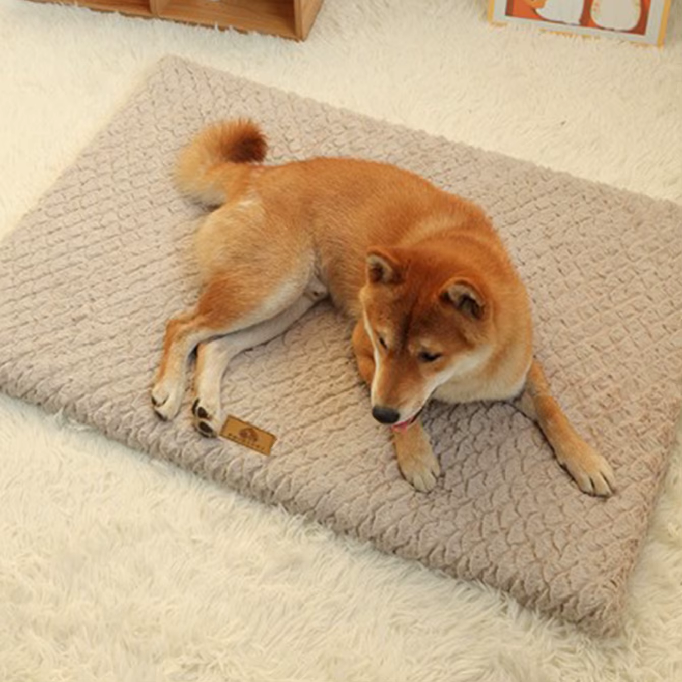 Cama de invierno cálida y antideslizante 2 en 1 para perros y gatos - imagen 2