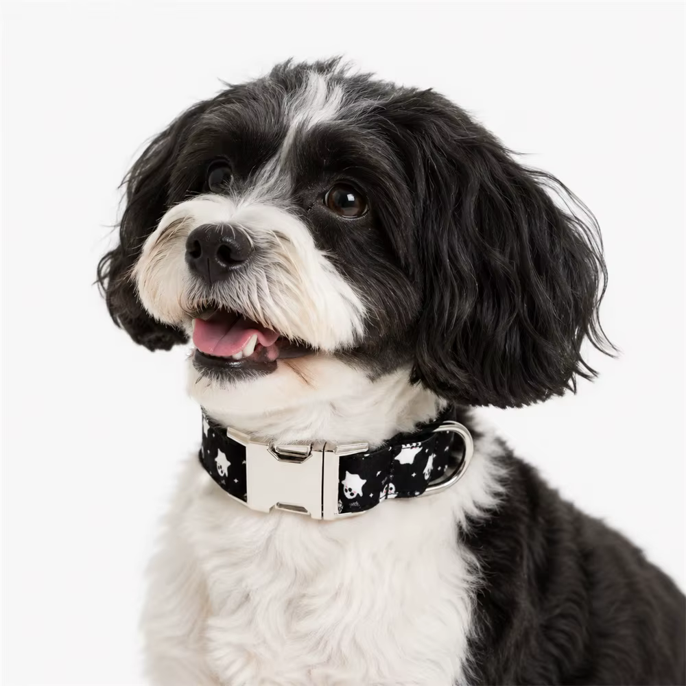 Conjunto collar y correa personalizados para perro Halloween fantasma - imagen 5
