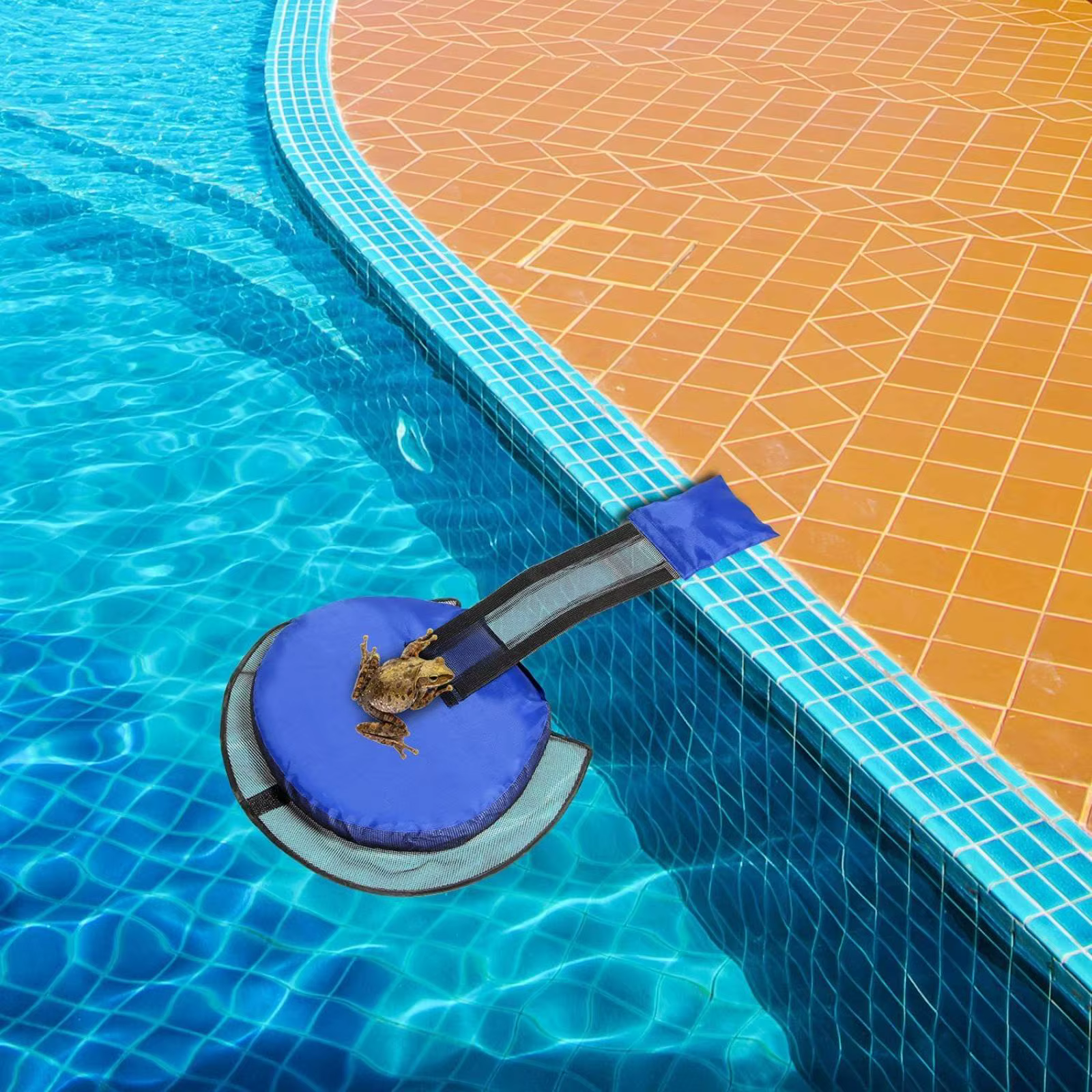 Rampa de escape para piscina – Salva animales y ranas extraíble - imagen 2