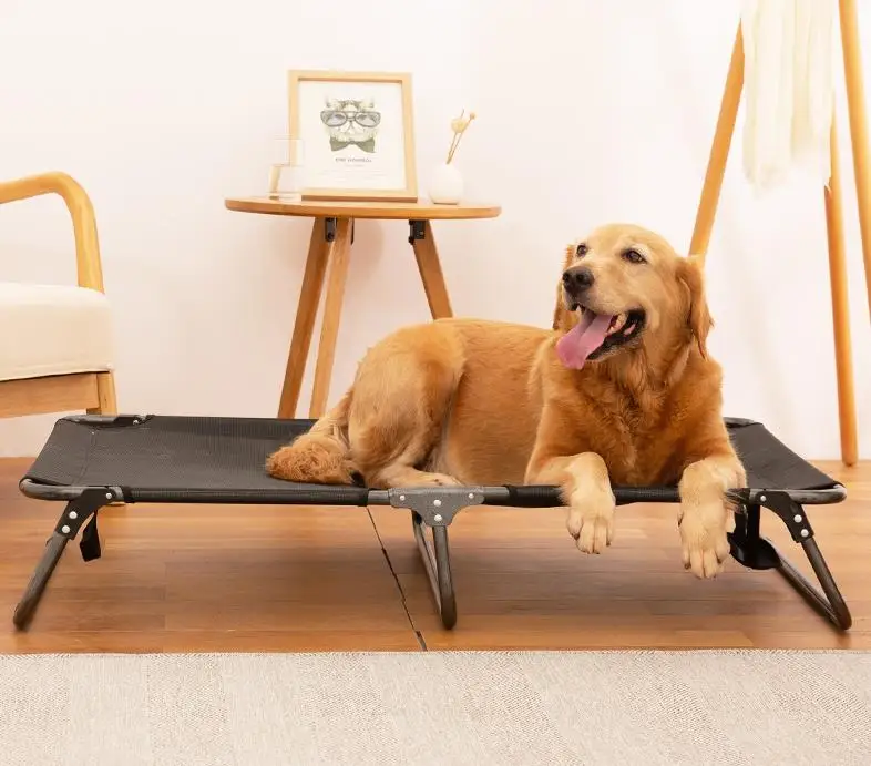 Cama plegable para perros en exterior
