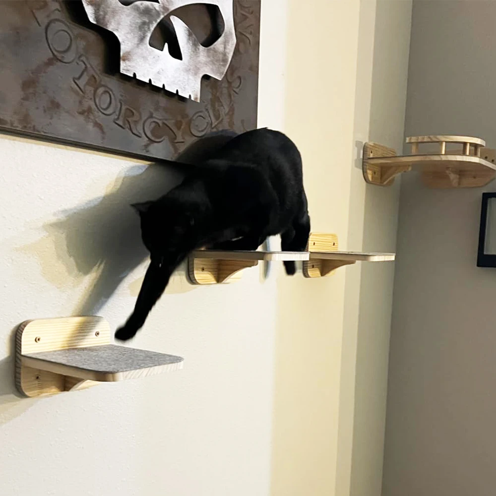 Estantes para gatos en entorno domestico