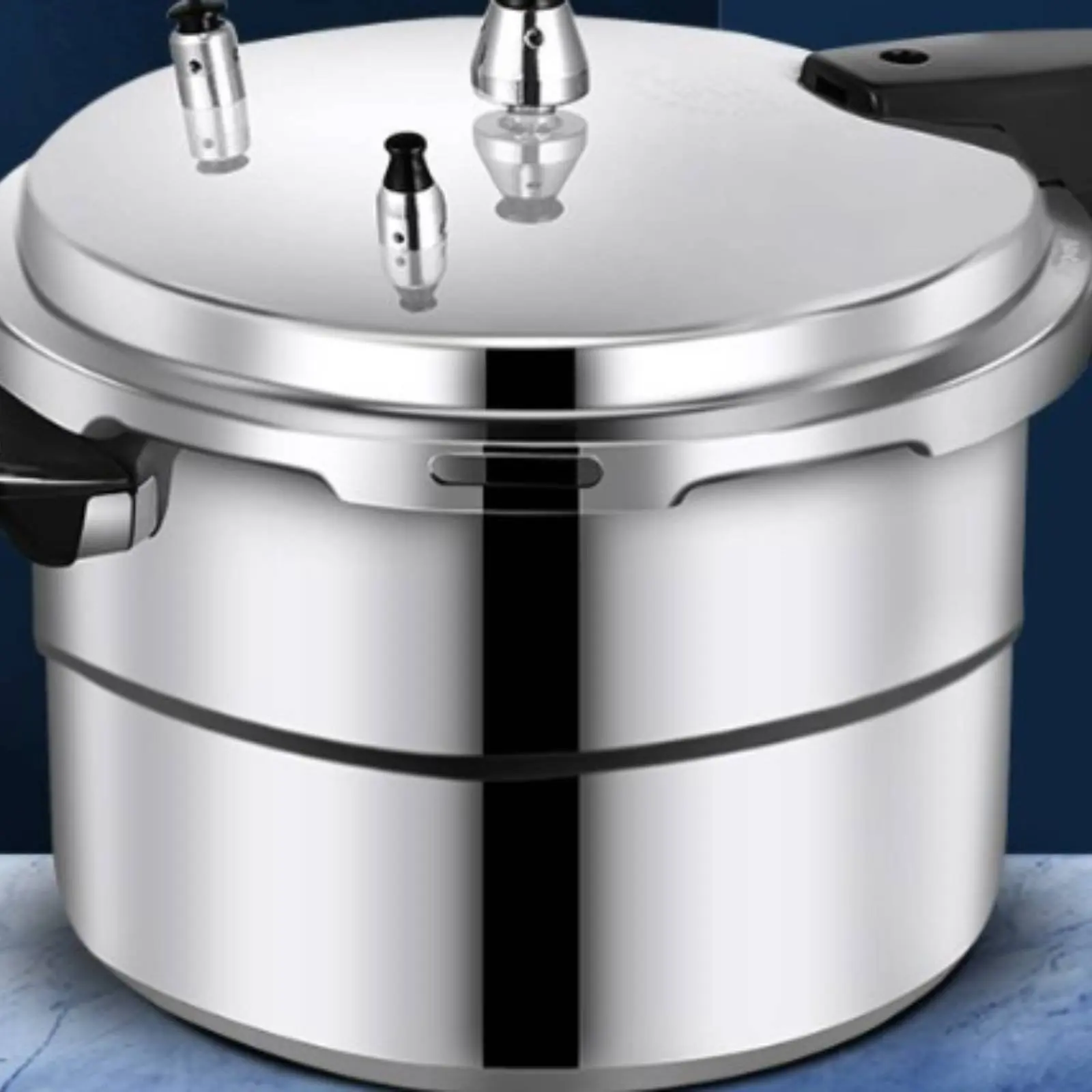 Olla a presión para preparar comida de gatos y perros, base reforzada