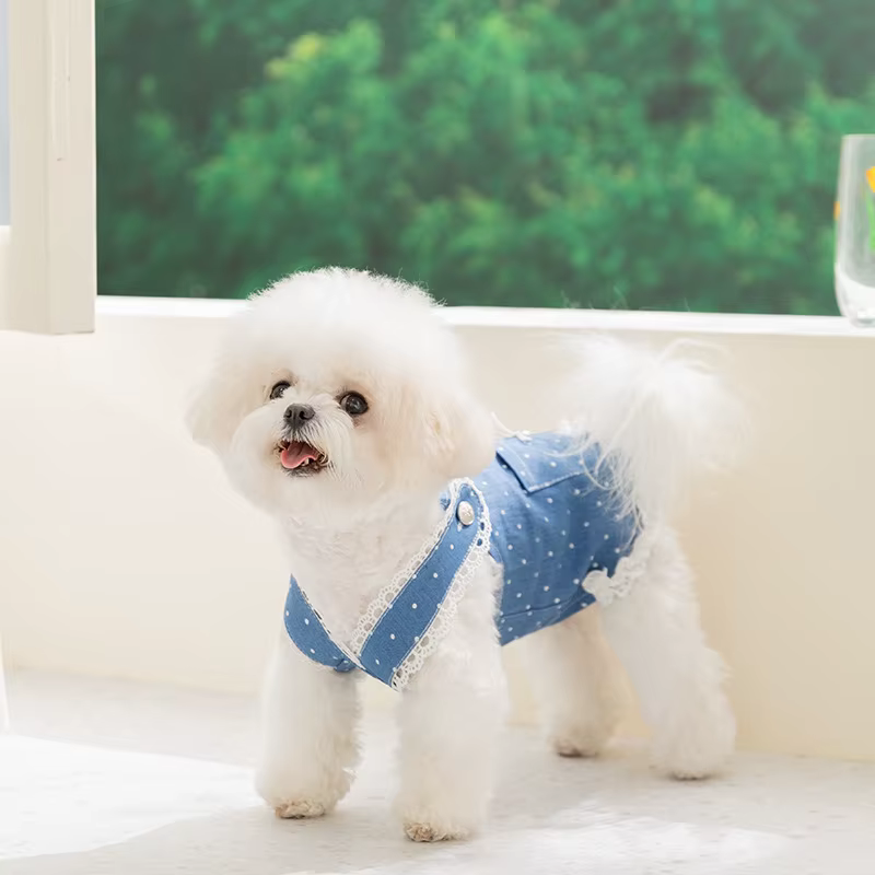 Vestido vaquero de verano para perras – Chihuahua, Yorkshire y Bichón - imagen 5