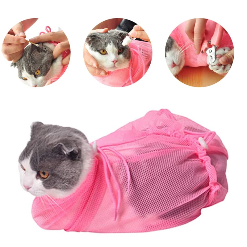 Gato con bolsa cerrada