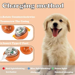 Pelota inteligente interactiva para perros – Recargable USB y masticable