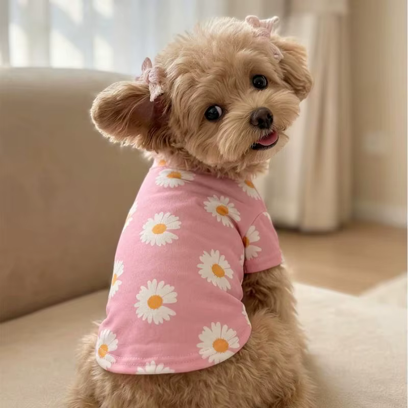 Camiseta con estampado de margaritas para perros pequeños y gatos - imagen 4