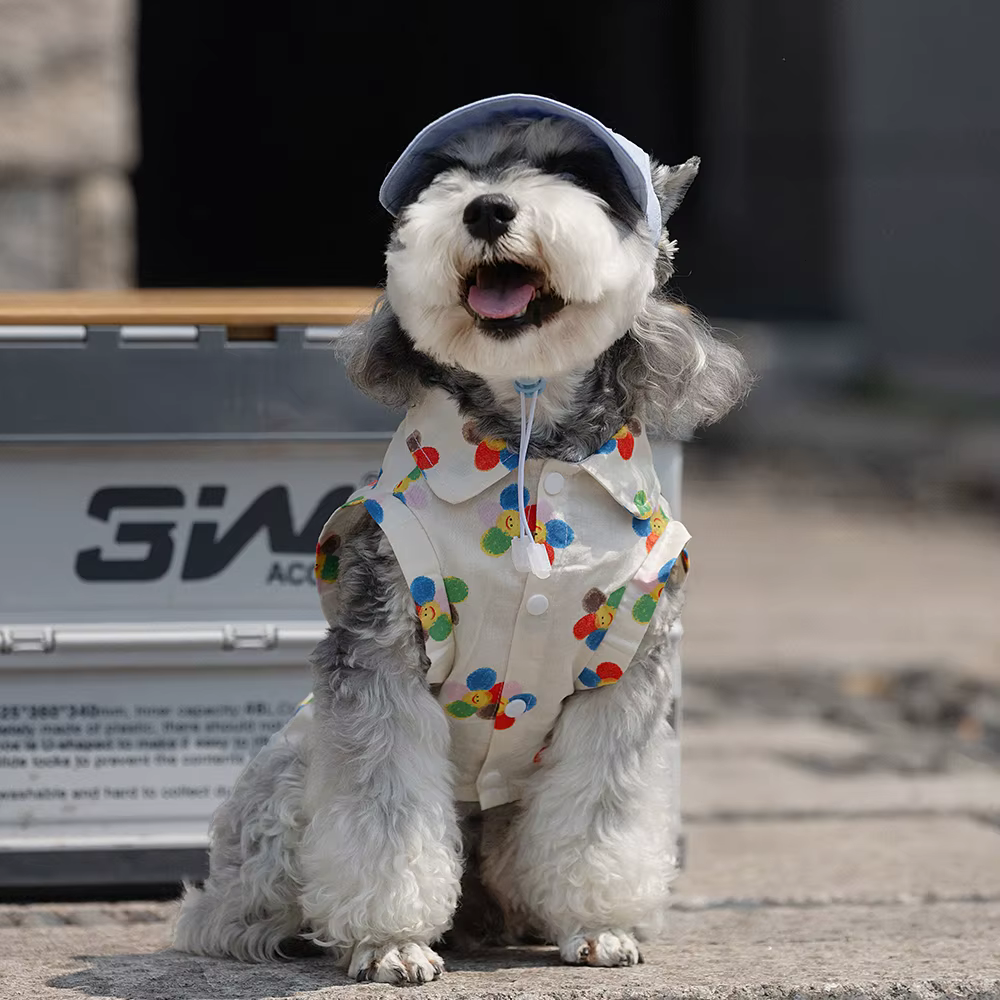Colección printemps pour perros