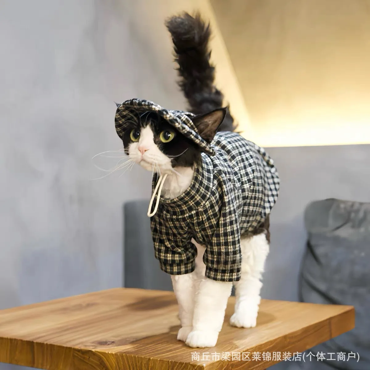 Ropa cálida para gatos Sphynx y Devon Rex con sombrero pescador - imagen 2
