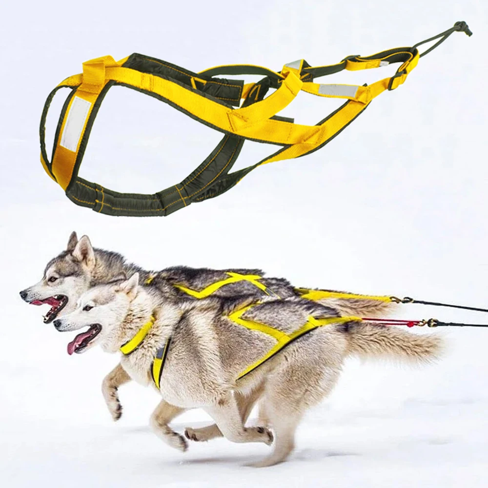 Arnés resistente para tirar, perros medianos y grandes – Husky