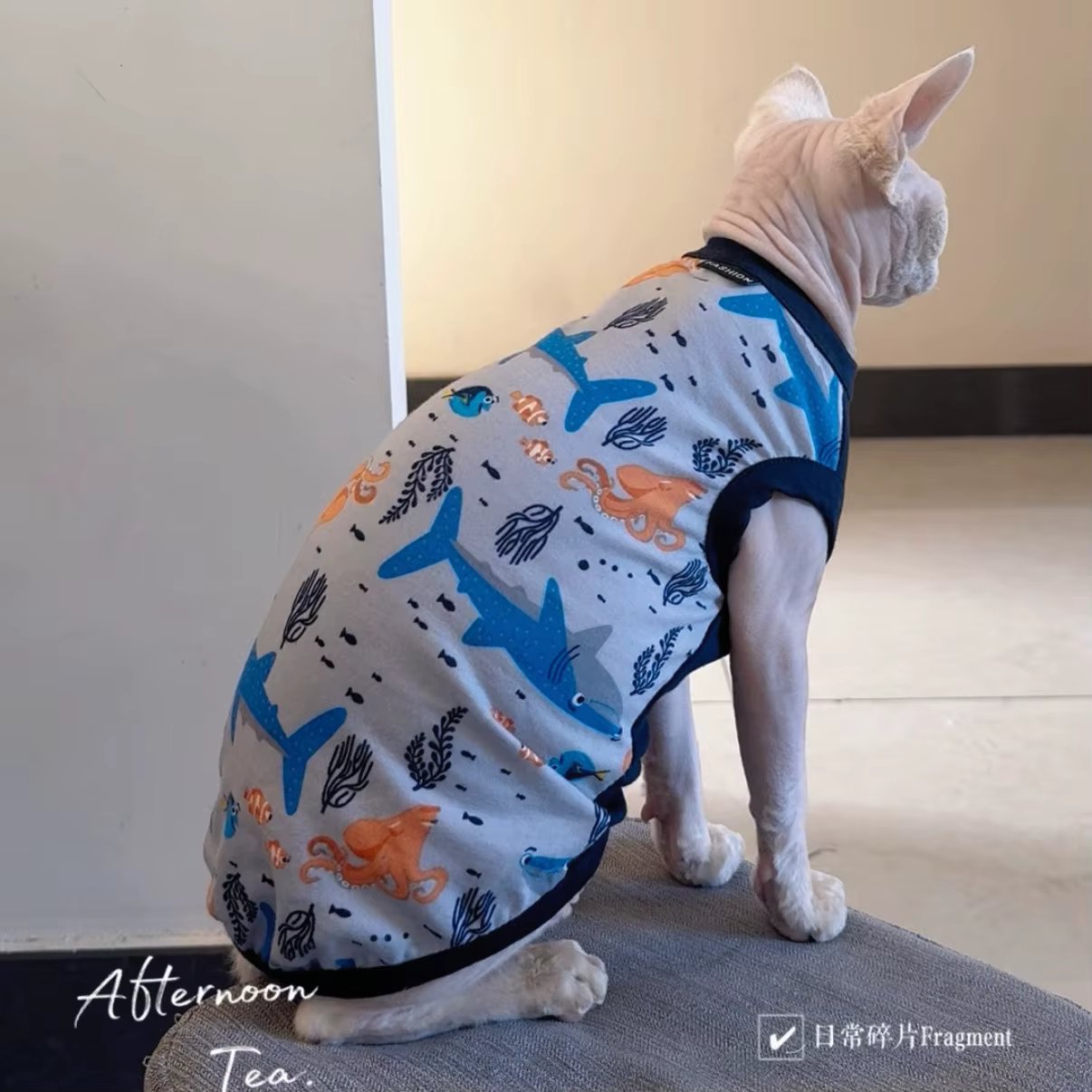 Abrigo para Gato Sphynx – Ropa Suave para Gatitos - imagen 5