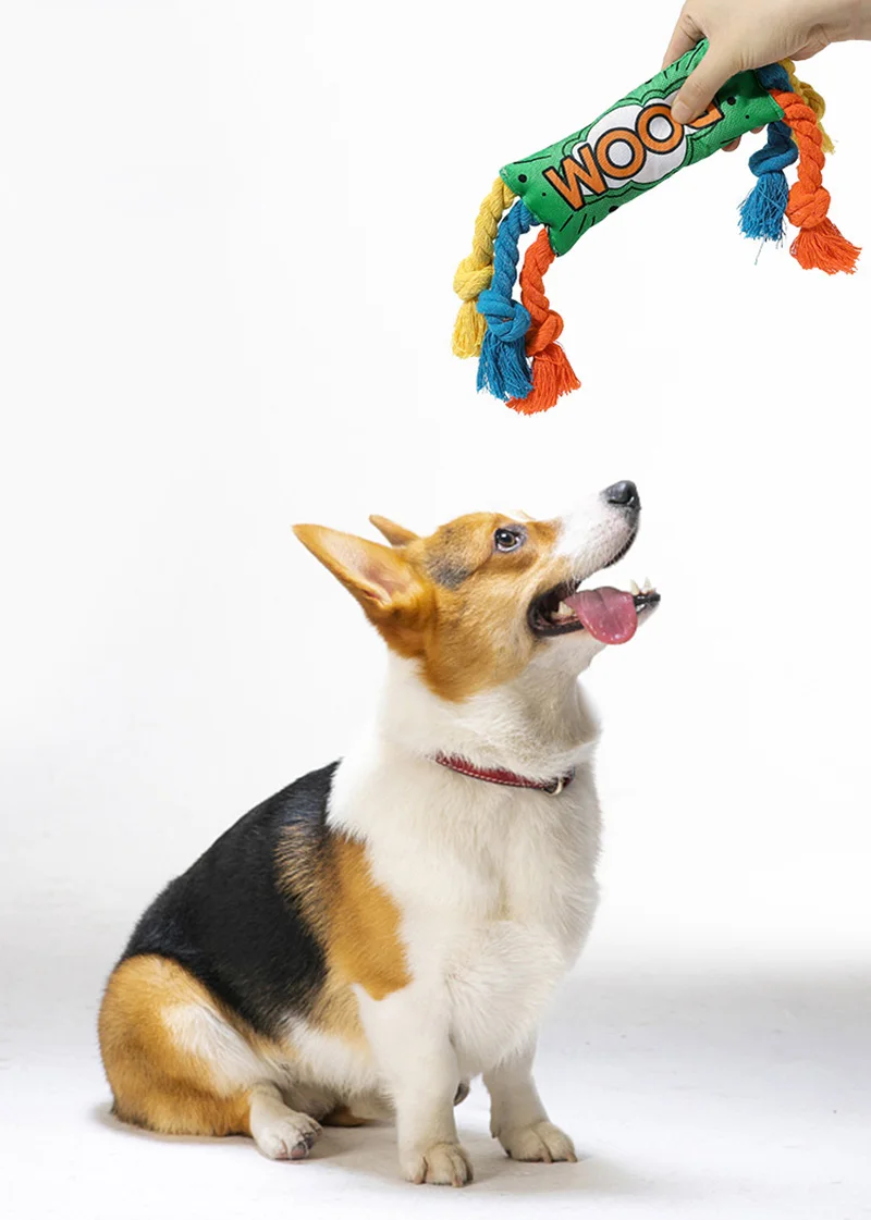 Juego de tira y afloja para perros pequeños y medianos