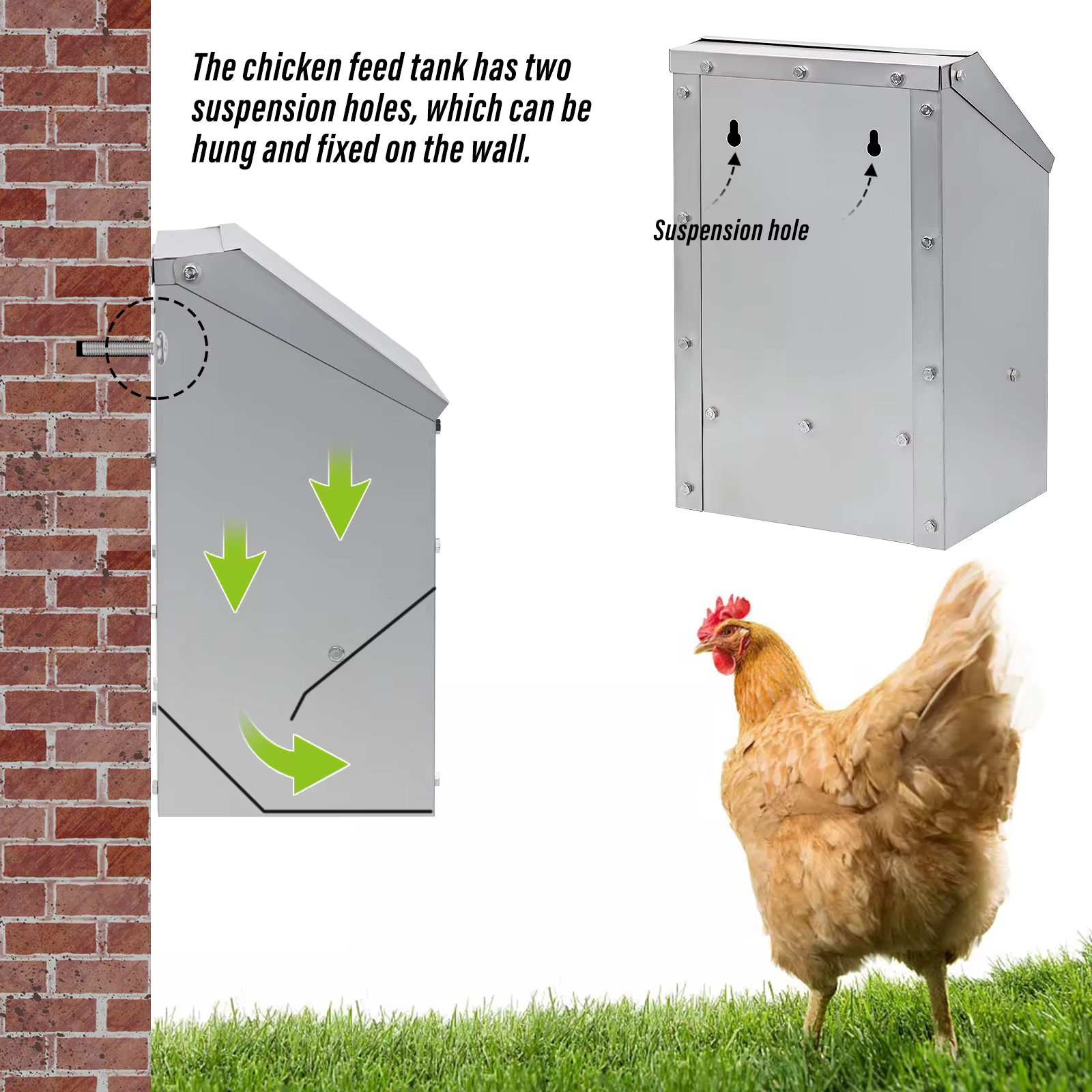 Comedero de acero inoxidable para pollos – Tina con tapa abatible - imagen 2