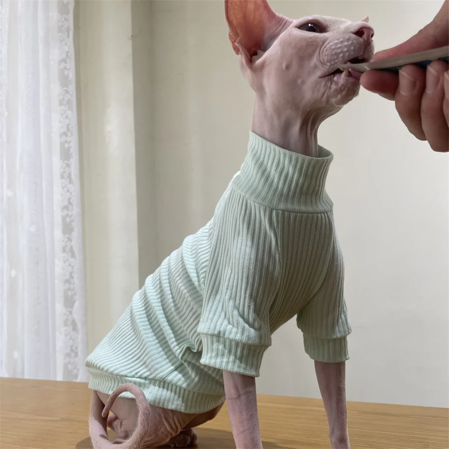 Gato modelo usando la camiseta