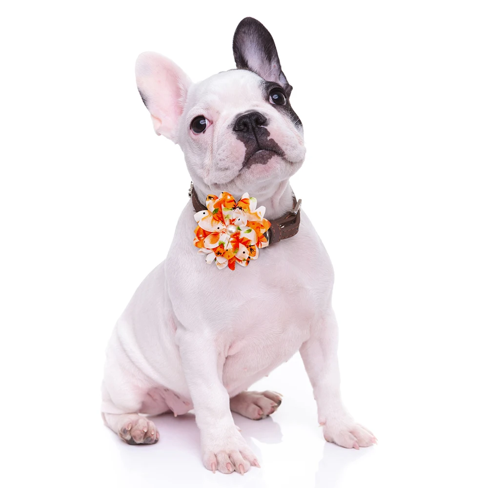 Perro pequeño con collar de flores decorativo