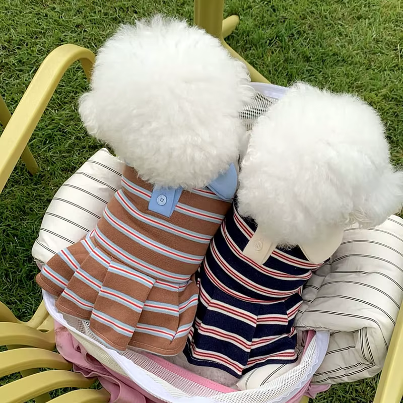 Vestido de verano para perro pequeño