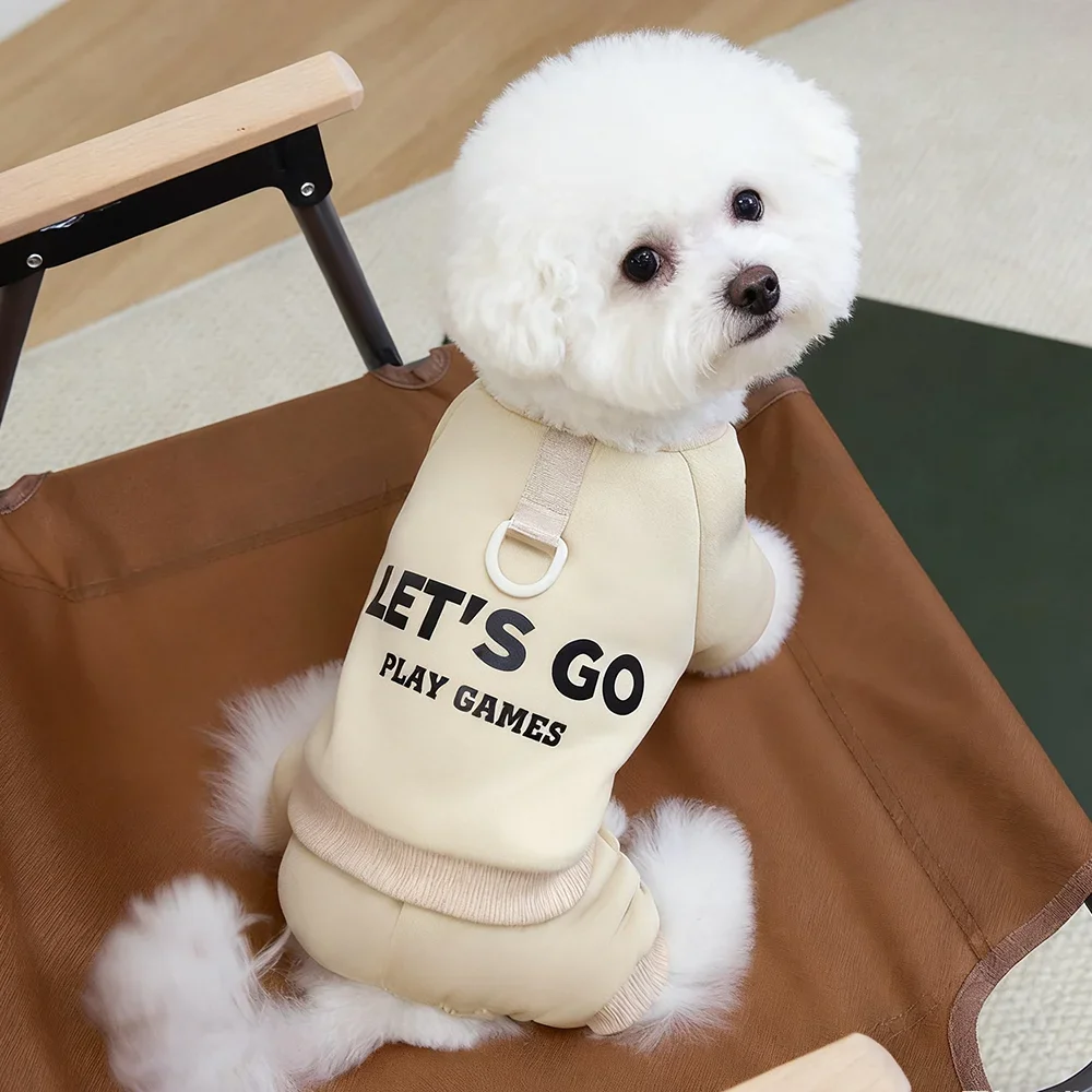 Perro usando la sudadera cómodamente