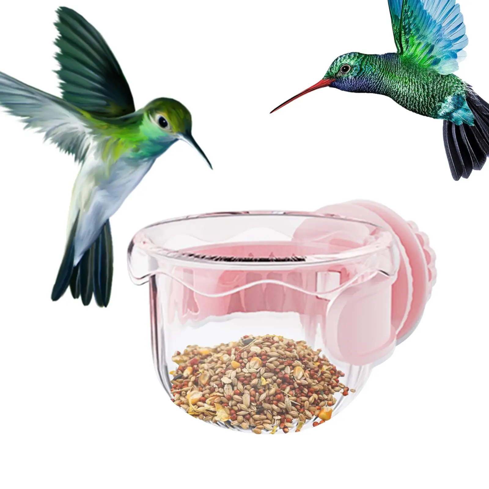 Platos para pájaros – Comedero para periquitos, agapornis y cacatúas - imagen 5