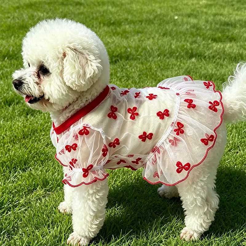 Vestido princesa para perro: verano lazo rojo y azul, Chihuahua - imagen 4
