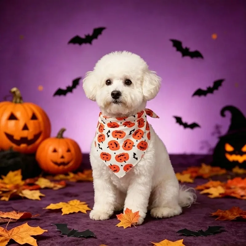 Bandana Halloween para Perros y Gatos – Pañuelo Estampado Calabaza y Murciélago - imagen 2