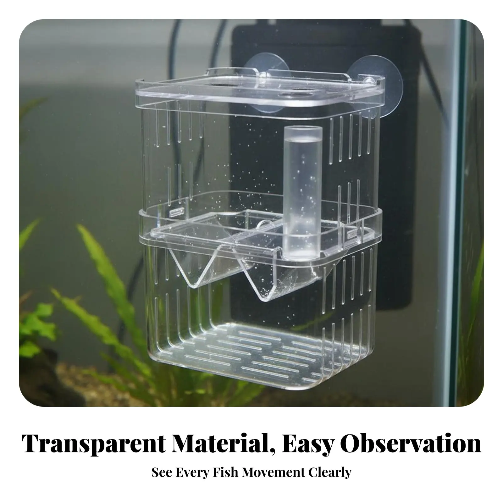 Caja de cría acuática flotante con divisor extraíble, fácil limpieza - imagen 5
