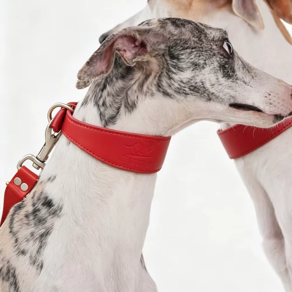 Collar de cuero rojo ajustable para perros medianos y grandes - imagen 5