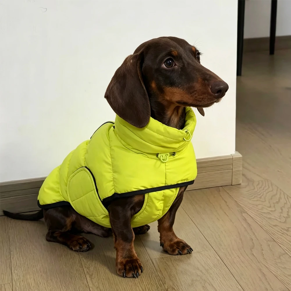 Corte pensado para dachshunds y fácil colocación