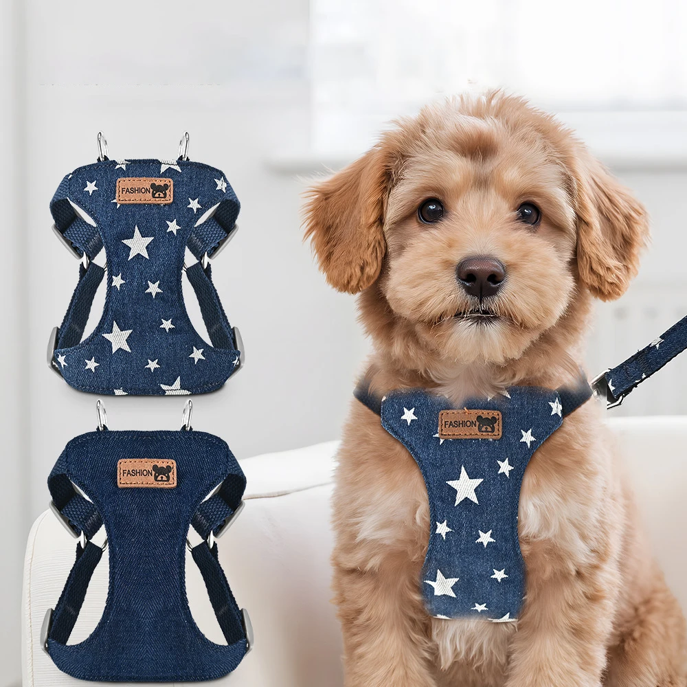 Set de arnés y correa para perros pequeños