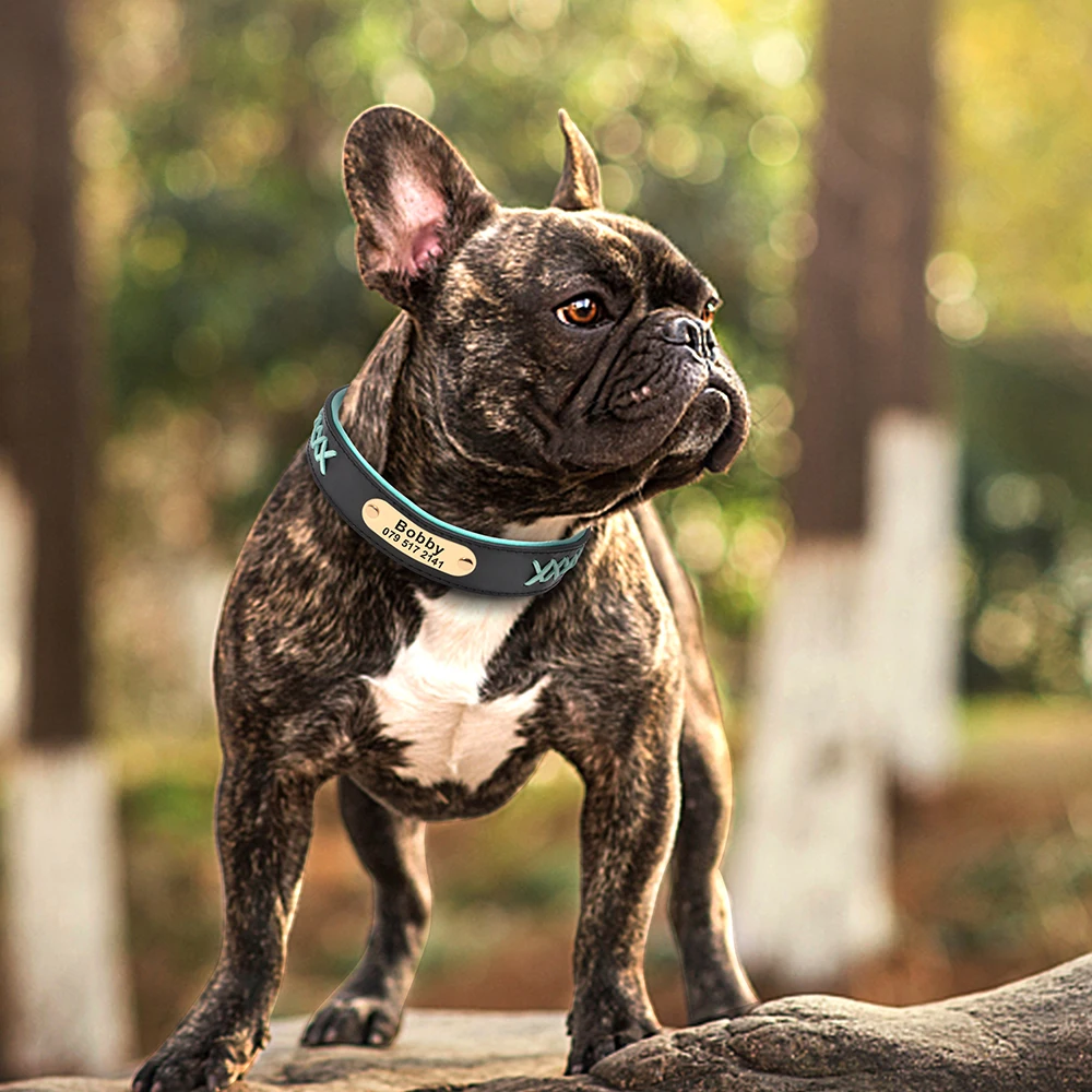Collar personalizado de cuero PU para perros: resistente y ajustable - imagen 2