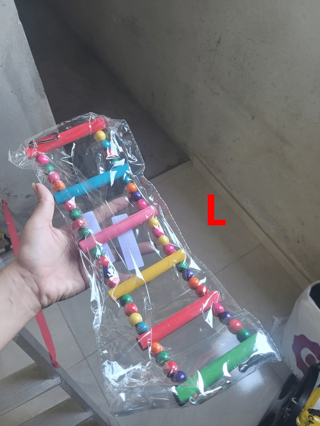 Pájaro pequeño jugando con la escalera de cuentas