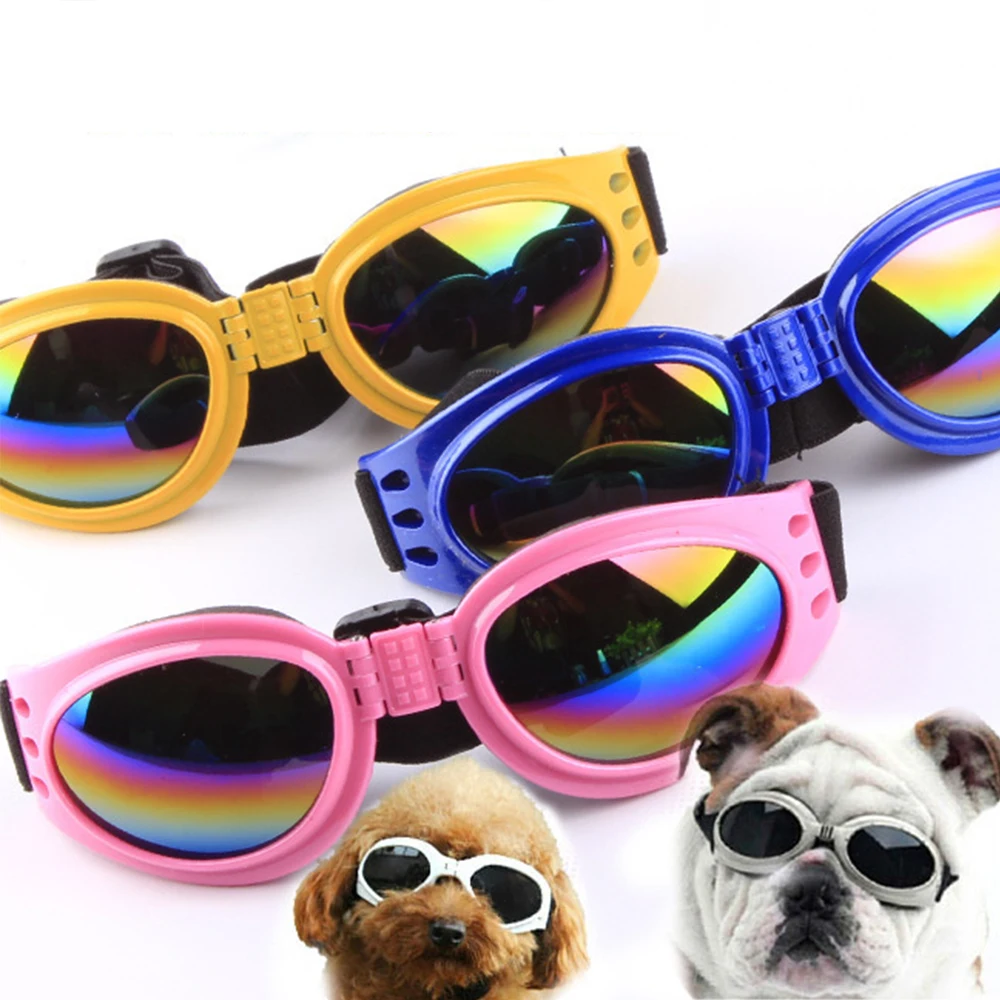 Gafas plegables para mascotas en color azul
