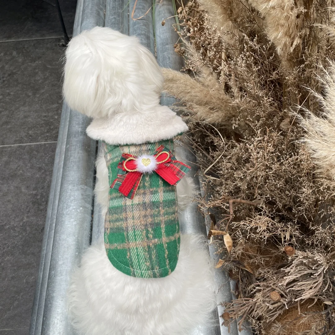 Perro luciendo la prenda en Navidad