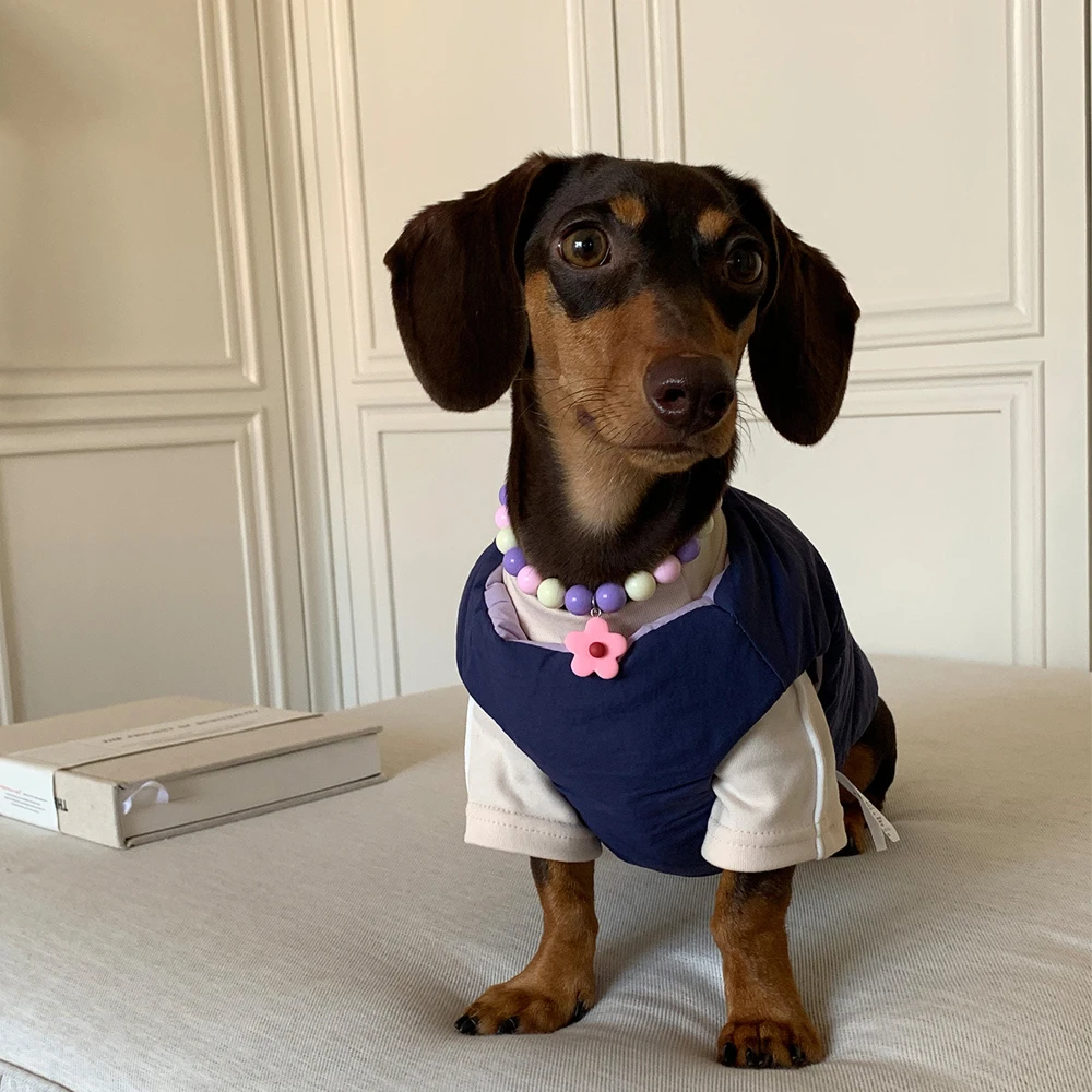 Chaleco reversible polar cálido para perro Dachshund tipo mono
