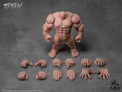 Figura de Acción Titan Wind Toys 1/12 – Coleccionable Súper Articulado
