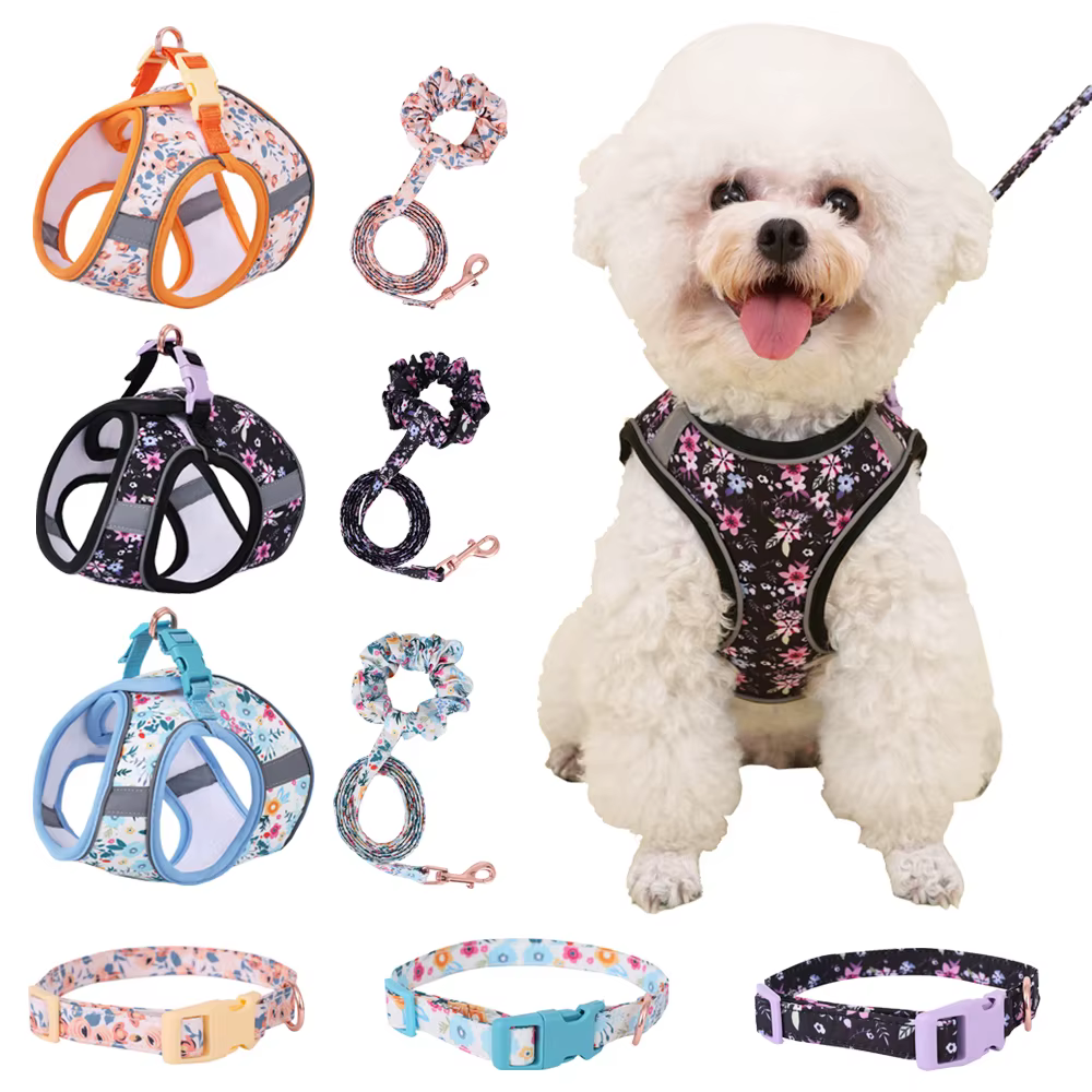 Arnés con correa para gatos medianos y perros pequeños - imagen 5