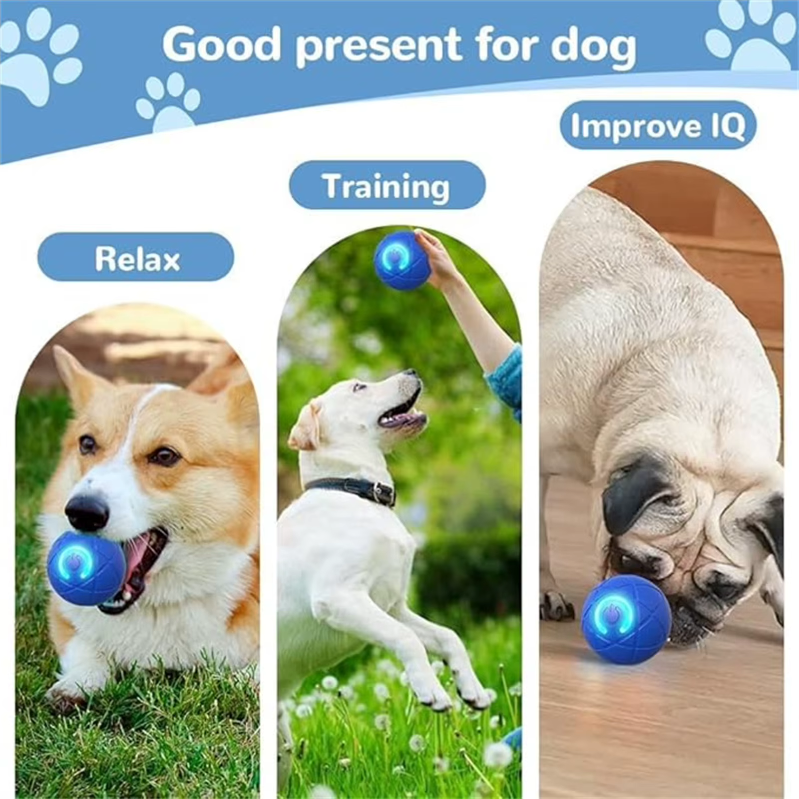 Pelota Automática Interactiva para Perros – Juguete Rodante USB - imagen 2