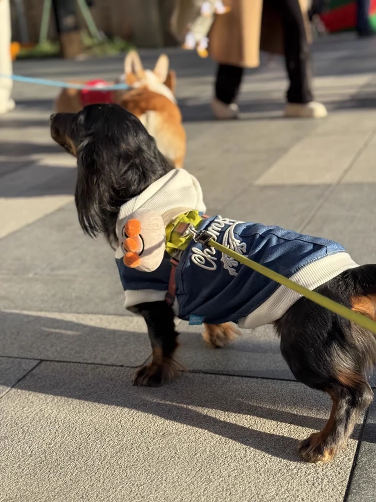 Guía de tallas para perros
