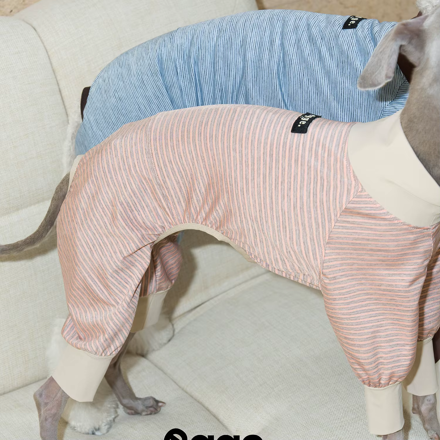 Camiseta refrescante Ice-Skin a rayas para galgos italianos y Whippet - imagen 5