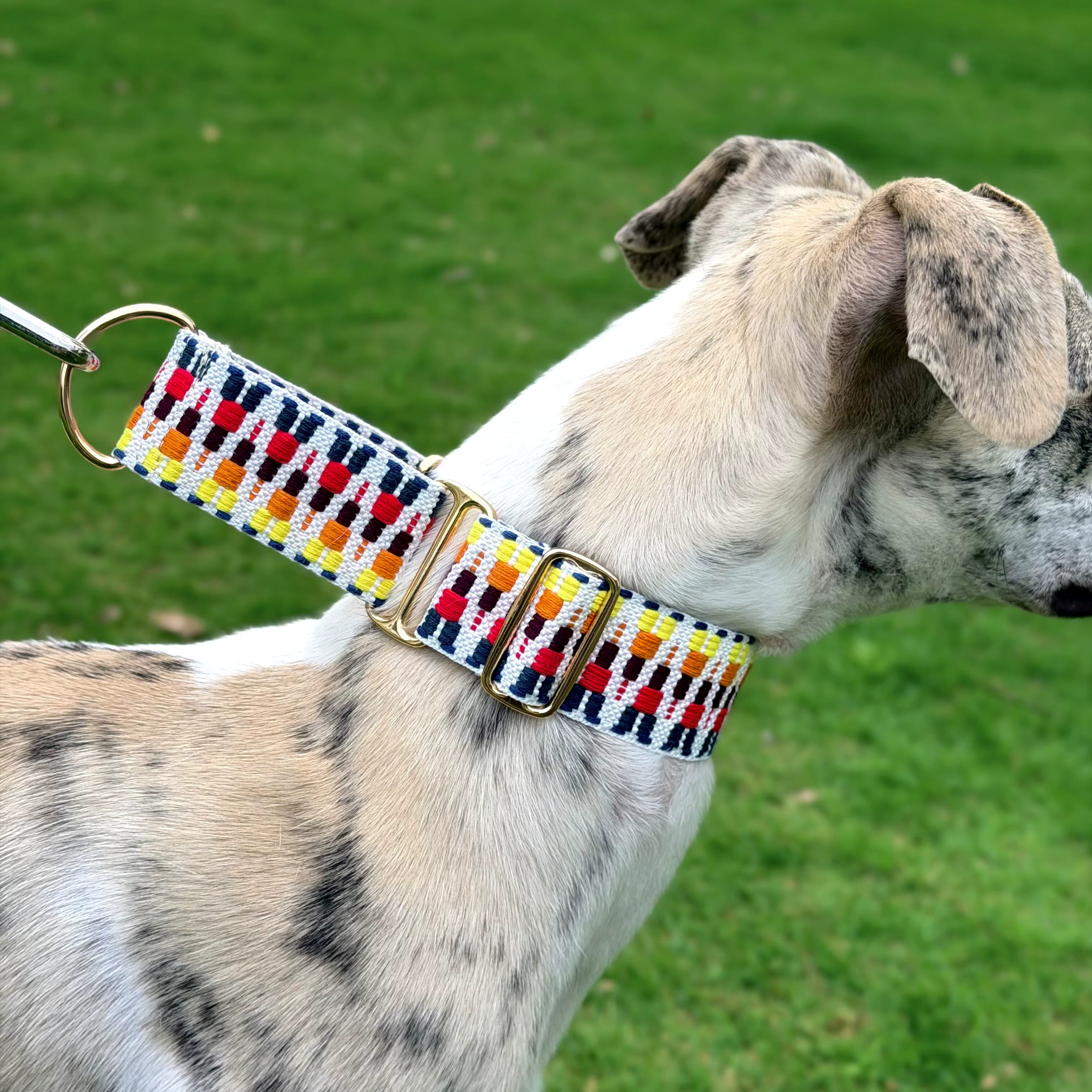 Collar martingala suave para galgos y whippets, ajustable