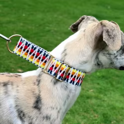 Collar martingala suave para galgos y whippets, ajustable