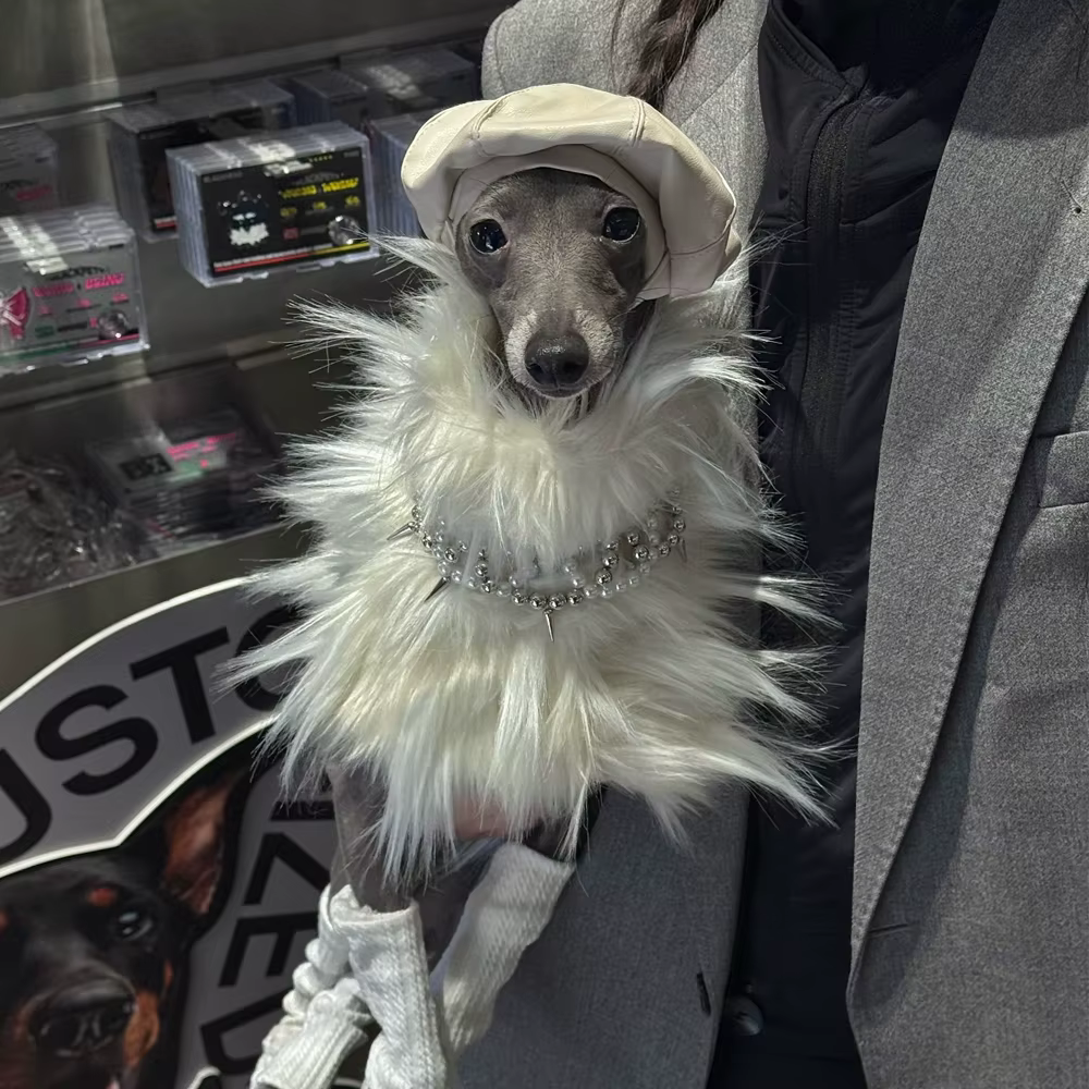Abrigo blanco de invierno para perros de caza