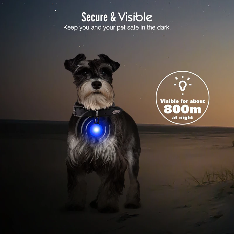 Paseo nocturno con collar LED COOYOMOO