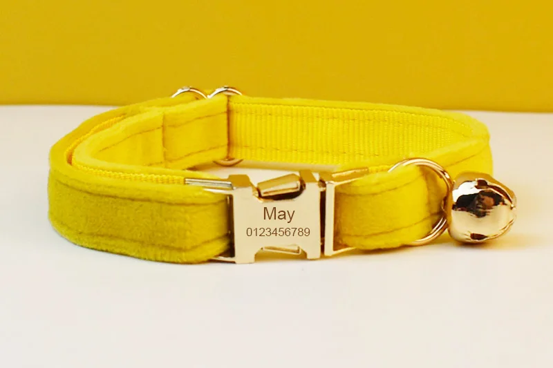 Collar y etiqueta grabable