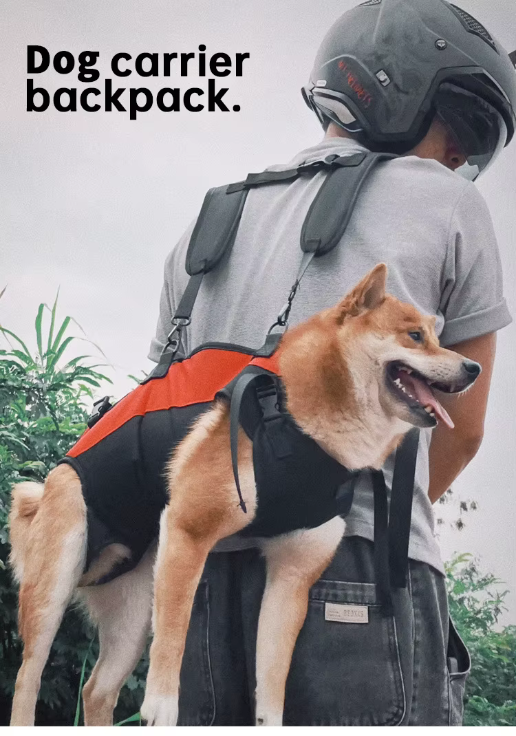 Zaino para perros de ciclismo al aire libre