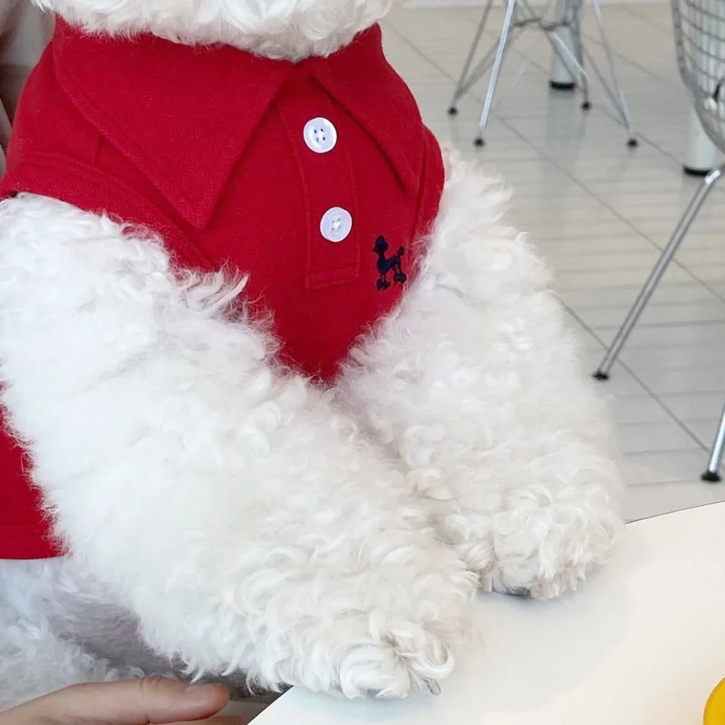 Ropa fresca para paseos con perros pequeños