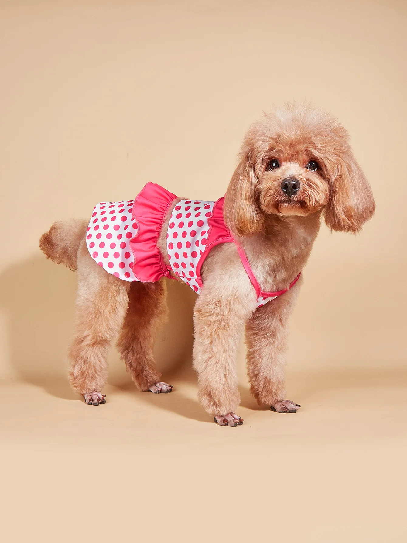 Modelo mostrando el traje de baño azul para perro pequeño